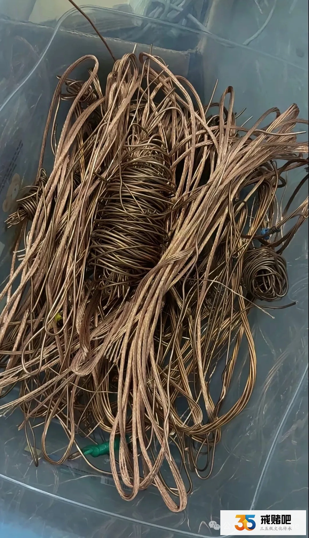 35岁电工拿命赚钱,老婆却用命的赌博,还和别的男人约会,我真的撑不住了(4) 35岁电工拿命赚钱,老婆却用命的赌博,还和别的男人约会,我真的撑不住了(4)