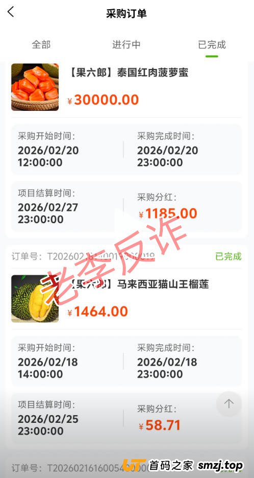 月入15%的“水果拼车”？老李用三个真实逻辑，彻底拆穿“果六郎”骗局！