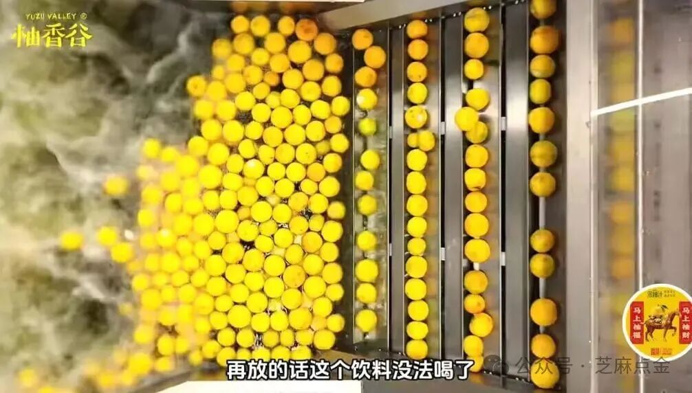 年销10亿的“宋柚汁”翻车了!花7块钱买瓶糖水，“宋柚”竟然只是个商标?(6)