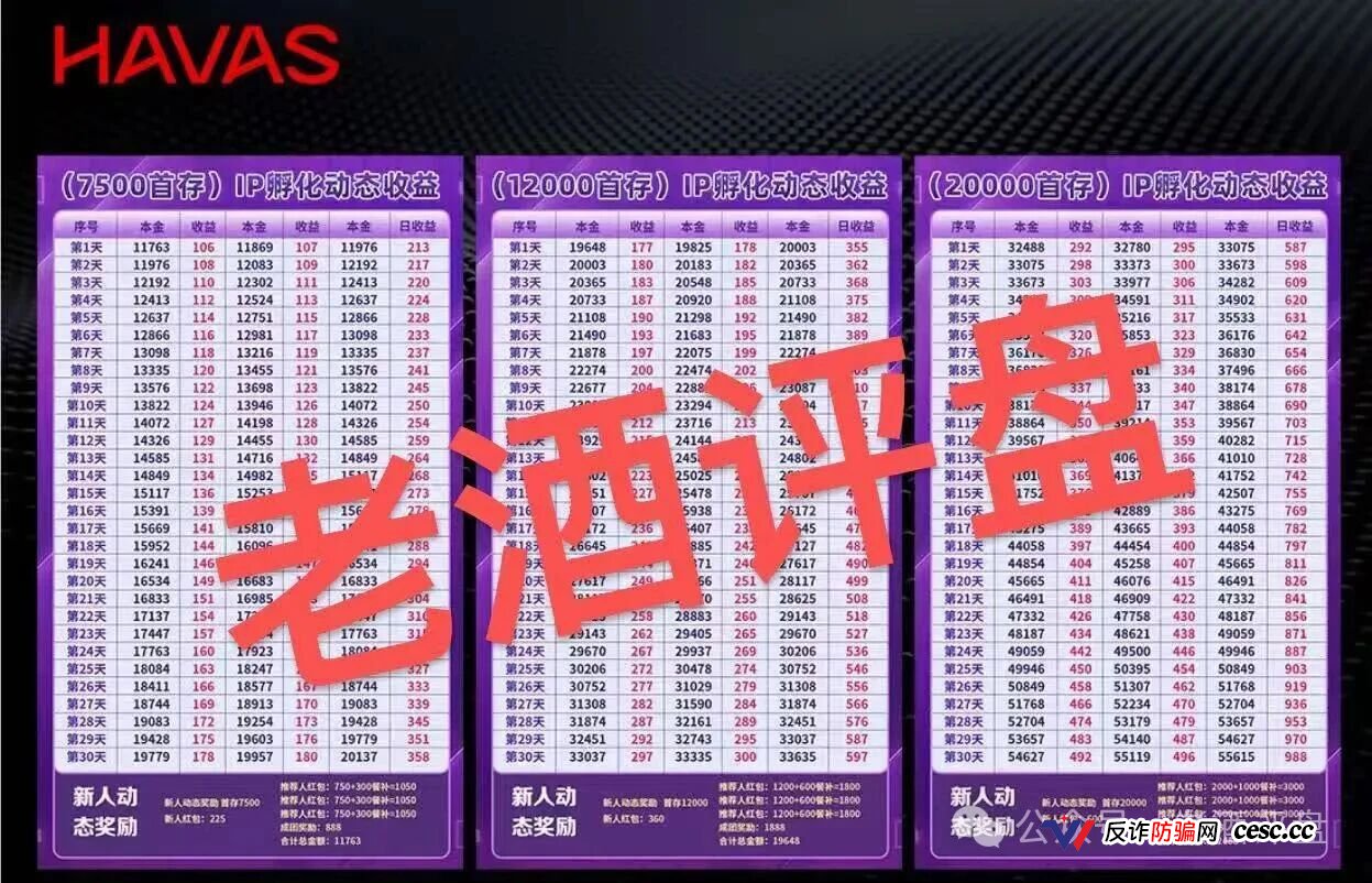 起底HAVAS汉威士IP孵化平台:冒国际集团之名,日息超1%的庞氏骗局(2) 起底HAVAS汉威士IP孵化平台:冒国际集团之名,日息超1%的庞氏骗局(2)