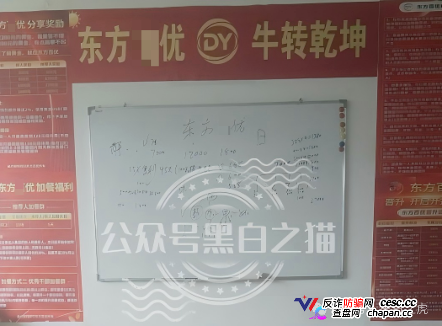 山东团队拉新变慢，项目方KPI定生死｜“东方百优”单割倒计时进入最后10天